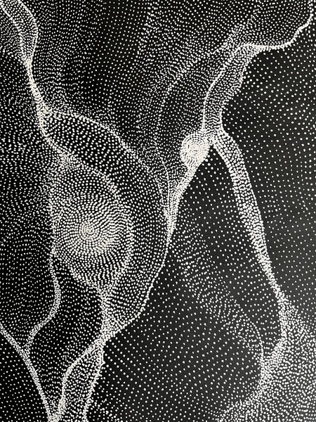 #248 My Country Dreaming (Black/White) ANNA PETYARRE: Aboriginal Art: 95cm x 153cm
