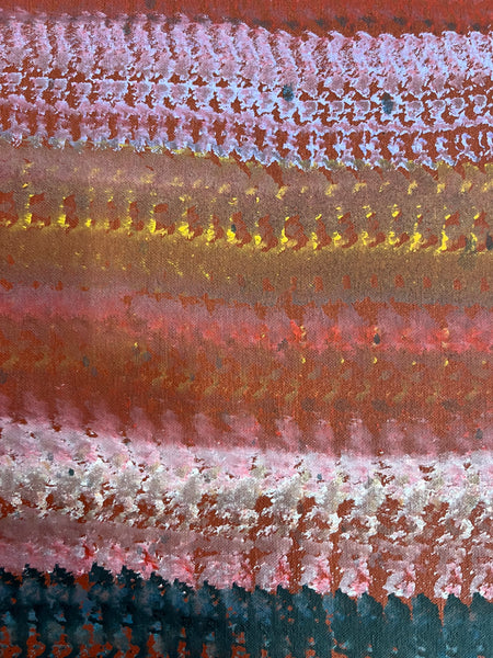 #249 Sugarbag Country - ABORIGINAL ARTIST: BARNEY ELLAGA (Collectors Piece) 52cm x 88cm