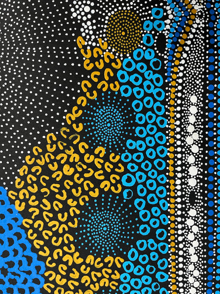 #48 Water Dreaming - Ngapa (Multi) JANET LONG NAKAMARRA: Aboriginal Art: 70cm x 100cm