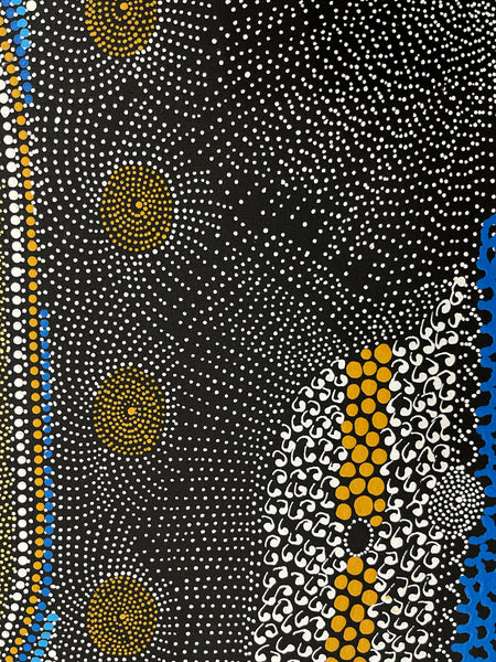 #48 Water Dreaming - Ngapa (Multi) JANET LONG NAKAMARRA: Aboriginal Art: 70cm x 100cm