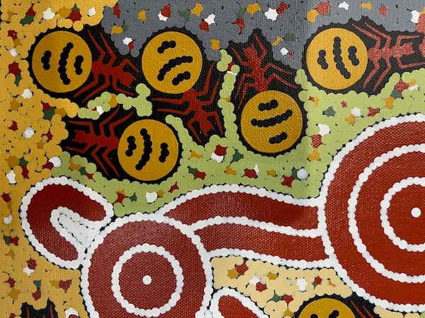 #117 Bush Tucker Dreaming - JONATHAN HOCKLEY - Aboriginal Art: 40 x 30cm