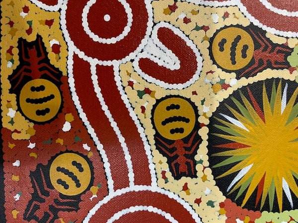 #117 Bush Tucker Dreaming - JONATHAN HOCKLEY - Aboriginal Art: 40 x 30cm