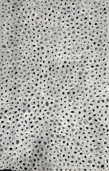 #148 Seeded Bush Melons (White) - LOUISE NUMINA : Aboriginal Art: 96x140cm