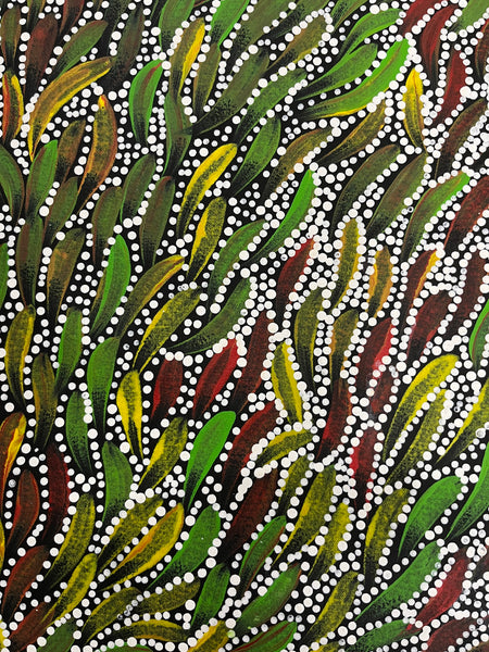 #233 Bush Medicine Leaves & Seeds (multi) - SABINA GOREY Aboriginal Art:  86cm x 127cm