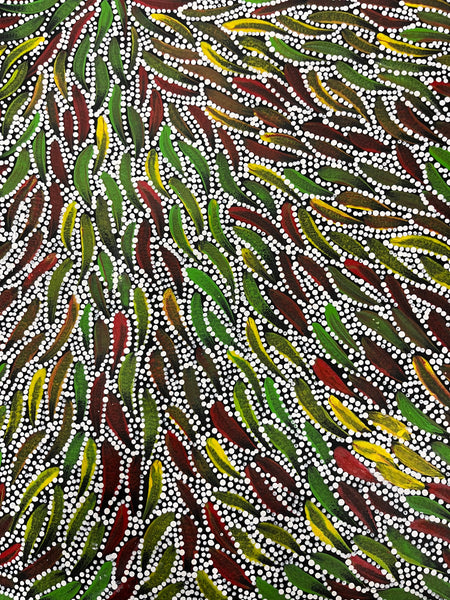 #233 Bush Medicine Leaves & Seeds (multi) - SABINA GOREY Aboriginal Art:  86cm x 127cm