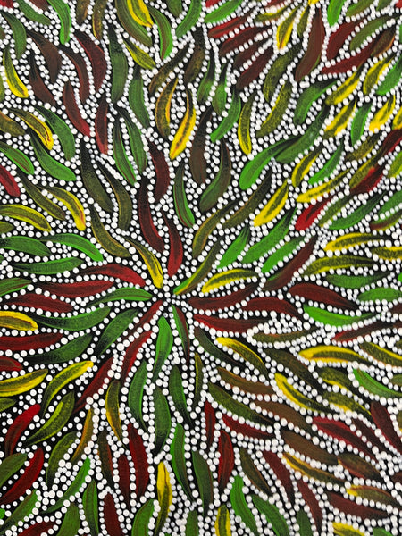 #233 Bush Medicine Leaves & Seeds (multi) - SABINA GOREY Aboriginal Art:  86cm x 127cm