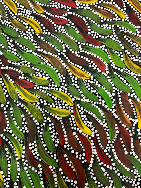#233 Bush Medicine Leaves & Seeds (multi) - SABINA GOREY Aboriginal Art:  86cm x 127cm