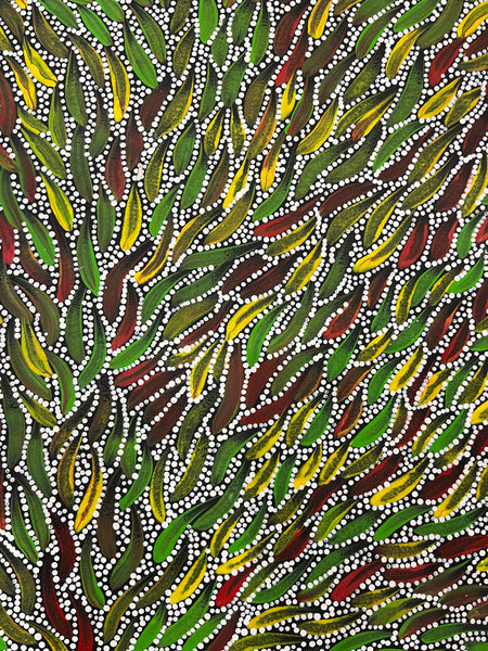 #233 Bush Medicine Leaves & Seeds (multi) - SABINA GOREY Aboriginal Art:  86cm x 127cm
