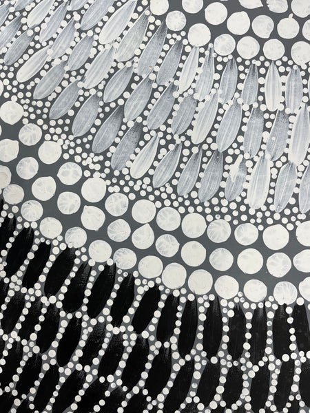 #280  Bush Medicine Leaves & Seeds - VANESSA CHARLES Aboriginal Art:  88cm x 146cm