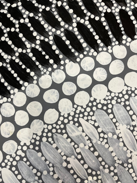 #280  Bush Medicine Leaves & Seeds - VANESSA CHARLES Aboriginal Art:  88cm x 146cm
