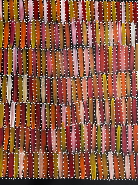 #160 Seeded Bush Yams (Sunset)- SELINA NUMINA :Aboriginal Art: 58x60cm