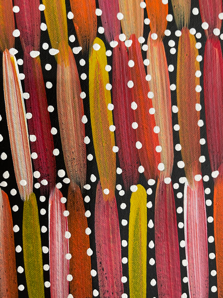#160 Seeded Bush Yams (Sunset)- SELINA NUMINA :Aboriginal Art: 58x60cm