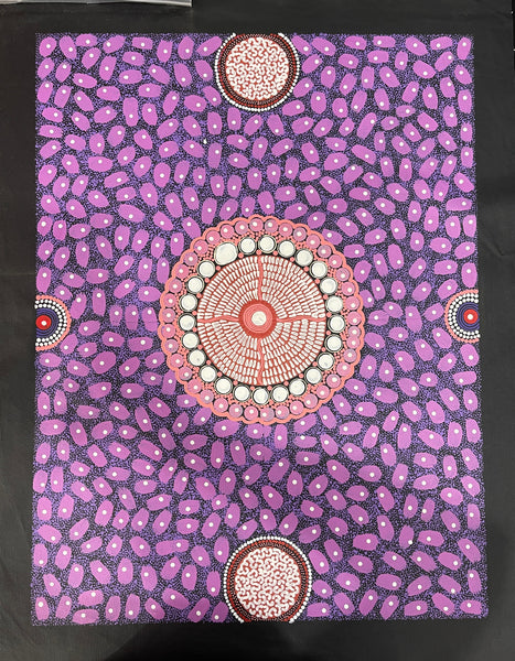 #114 ALIARA BIRD After the Rain (Purple) : Aboriginal Art: 50x67cm