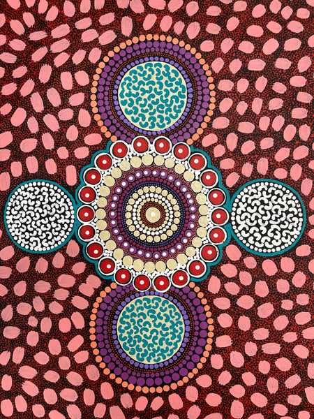 #367 ALIARA BIRD After the Rain (Pink) : Aboriginal Art: 62x103cm