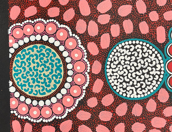 #367 ALIARA BIRD After the Rain (Pink) : Aboriginal Art: 62x103cm