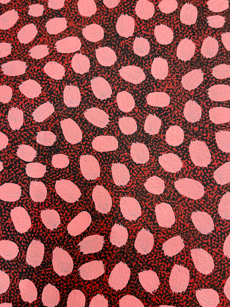 #367 ALIARA BIRD After the Rain (Pink) : Aboriginal Art: 62x103cm