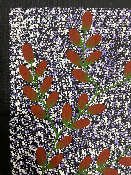 #297 Bush Berries: ANGELA NUMINA : ABORIGINAL ART: 31x41cm