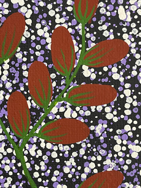 #297 Bush Berries: ANGELA NUMINA : ABORIGINAL ART: 31x41cm