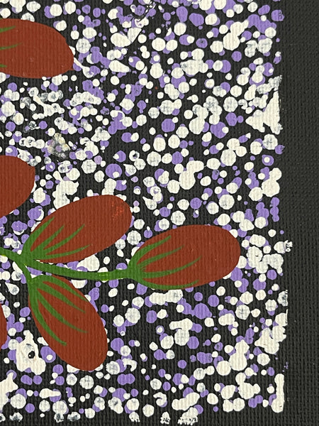 #297 Bush Berries: ANGELA NUMINA : ABORIGINAL ART: 31x41cm