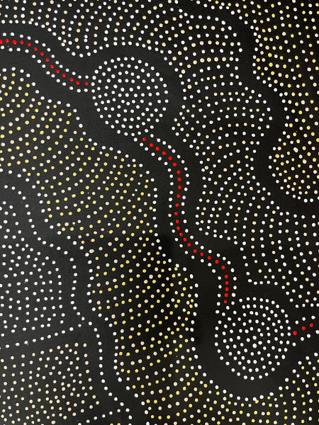 #141 Thorny Lizard Dreaming (Multi) - JACINTA NUMINA Aboriginal Art: 85cm x 67cm