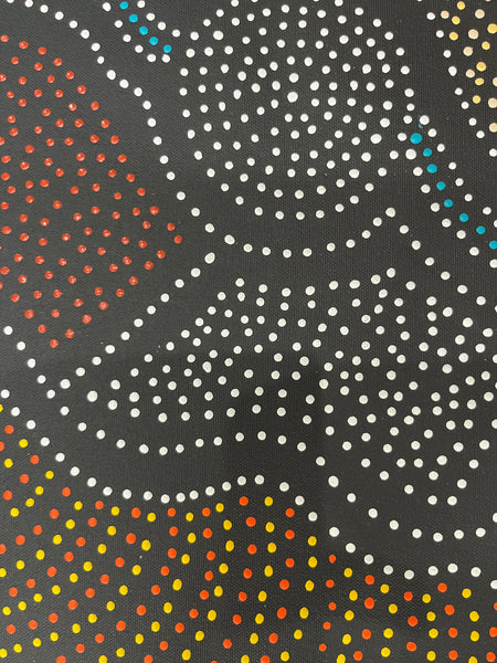 #141 Thorny Lizard Dreaming (Multi) - JACINTA NUMINA Aboriginal Art: 85cm x 67cm
