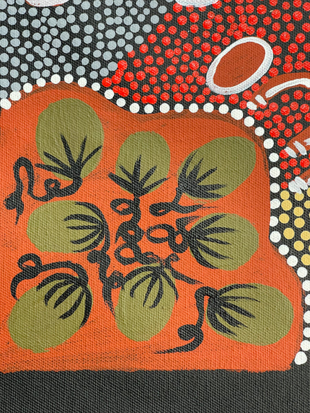 #377 Dingo Dreaming - JOY NAKAMARRA BRISCOE: Aboriginal Art: 40x40cm