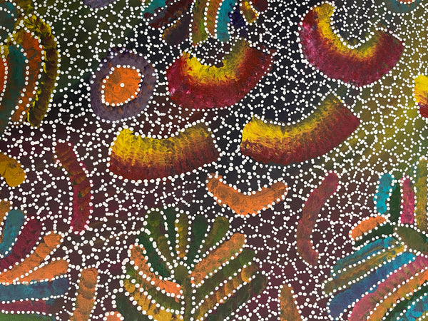 #131 Yam Seed Dreaming Artist: JEDDA PURVIS KNGWARREYE Aboriginal Art: 73cm x 200cm