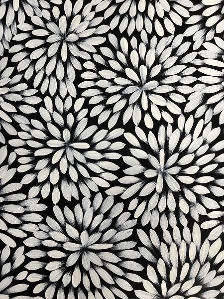 #57 Bush Medicine Leaves (White) - LOUISE NUMINA : Aboriginal Art: 63x65cm