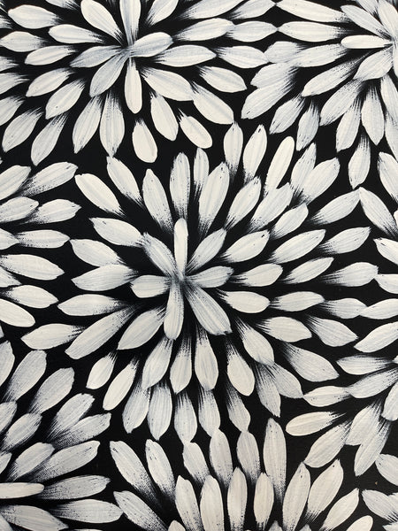 #57 Bush Medicine Leaves (White) - LOUISE NUMINA : Aboriginal Art: 63x65cm