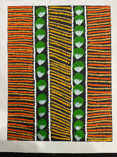 #312 Bush Fruits (Bush Berry Orange) - BARBARA PANANKA PRICE : Aboriginal Art: 33x43cm