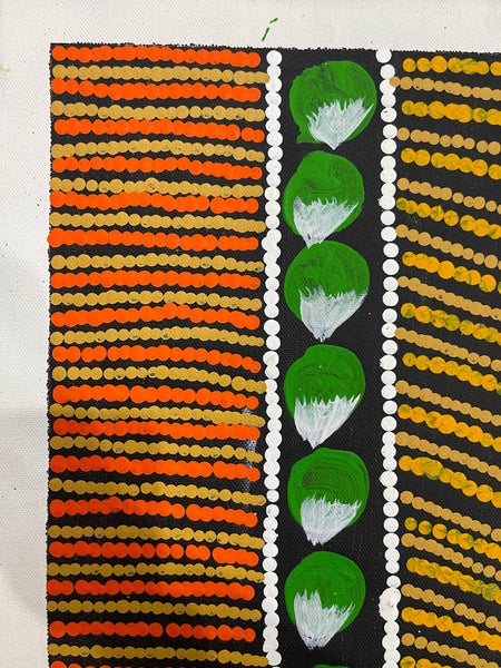 #312 Bush Fruits (Bush Berry Orange) - BARBARA PANANKA PRICE : Aboriginal Art: 33x43cm