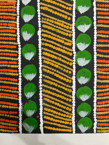 #312 Bush Fruits (Bush Berry Orange) - BARBARA PANANKA PRICE : Aboriginal Art: 33x43cm