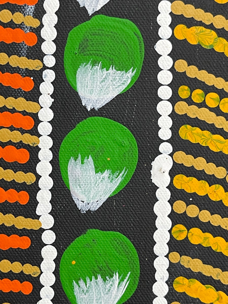 #312 Bush Fruits (Bush Berry Orange) - BARBARA PANANKA PRICE : Aboriginal Art: 33x43cm