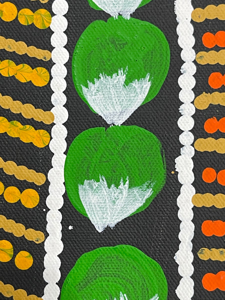 #312 Bush Fruits (Bush Berry Orange) - BARBARA PANANKA PRICE : Aboriginal Art: 33x43cm