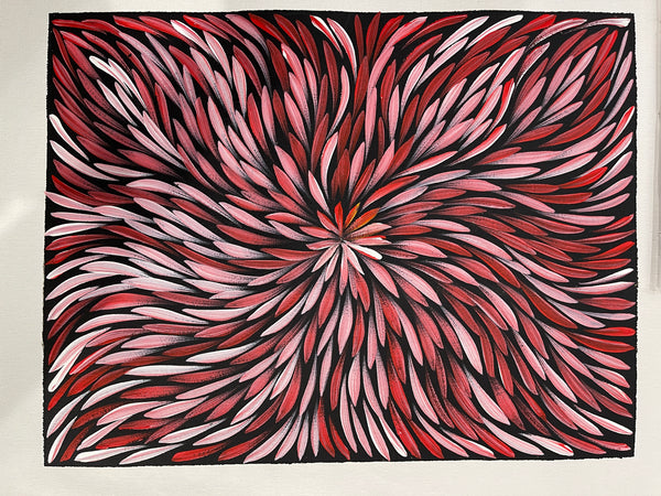 #314 Bush Medicine Leaves (Pink/Reds) - SHARON NUMINA : Aboriginal Art: 33x43cm