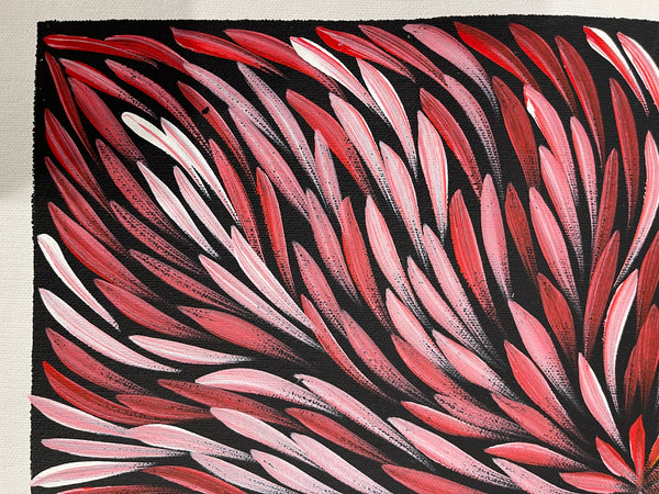 #314 Bush Medicine Leaves (Pink/Reds) - SHARON NUMINA : Aboriginal Art: 33x43cm