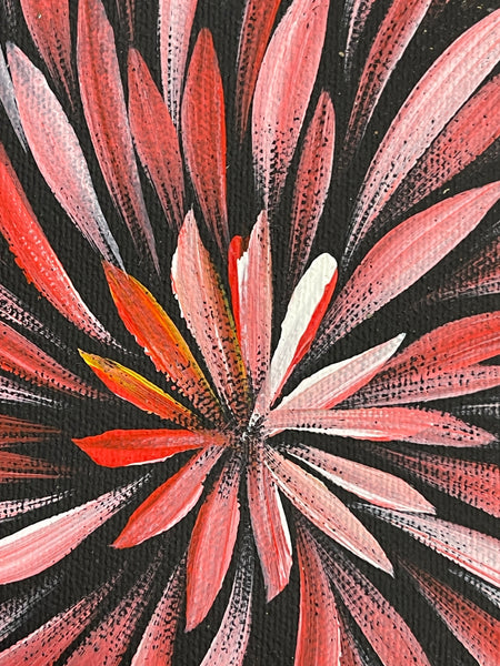 #314 Bush Medicine Leaves (Pink/Reds) - SHARON NUMINA : Aboriginal Art: 33x43cm