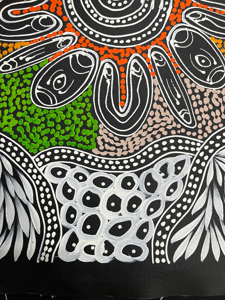 #365 My Country Dreaming (Multi) - SHARON NUMINA : Aboriginal Art: 44x58cm