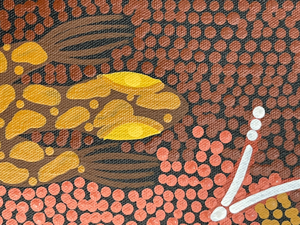 #66 Goannas (Earth) - BEVAN CLANCY TJAMPITJIMPA 25x41cm