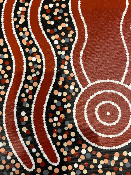 #294 Carpet Snake Dreaming (Earth) - JONATHAN HOCKLEY Aboriginal Art: 36cm x 50cm