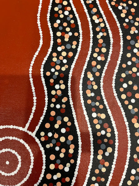 #294 Carpet Snake Dreaming (Earth) - JONATHAN HOCKLEY Aboriginal Art: 36cm x 50cm