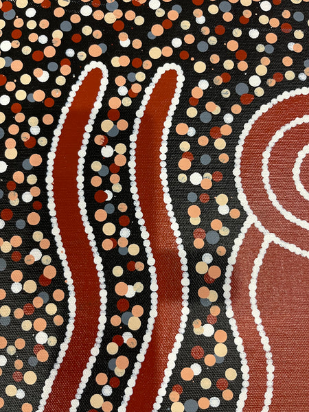 #294 Carpet Snake Dreaming (Earth) - JONATHAN HOCKLEY Aboriginal Art: 36cm x 50cm