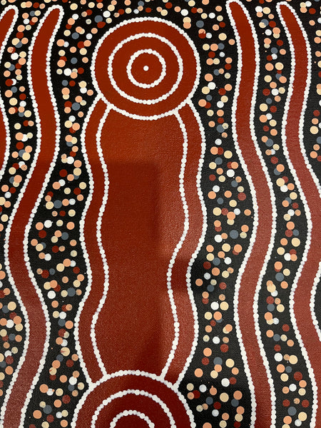#294 Carpet Snake Dreaming (Earth) - JONATHAN HOCKLEY Aboriginal Art: 36cm x 50cm