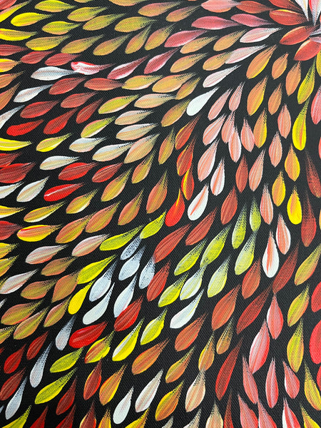 #126 Bush Medicine Leaves (Sunset) - SHARON TURNER Aboriginal Art:  38cm x 53cm