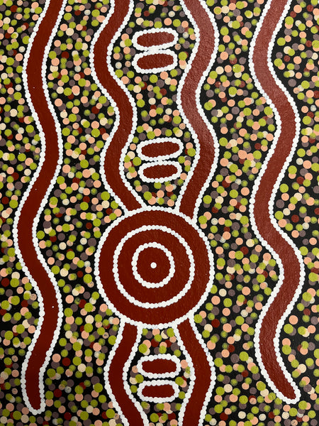 #349 Carpet Snake & Waterhole Dreaming - JONATHAN HOCKLEY Aboriginal Art: 75cm x 92cm
