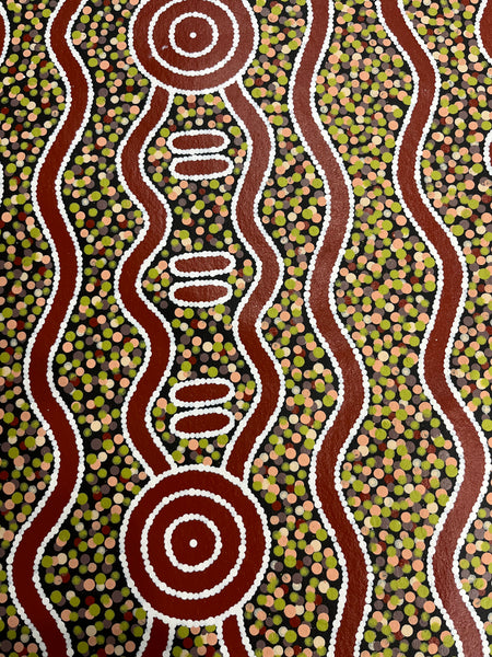 #349 Carpet Snake & Waterhole Dreaming - JONATHAN HOCKLEY Aboriginal Art: 75cm x 92cm