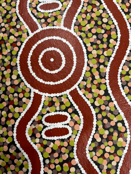 #349 Carpet Snake & Waterhole Dreaming - JONATHAN HOCKLEY Aboriginal Art: 75cm x 92cm