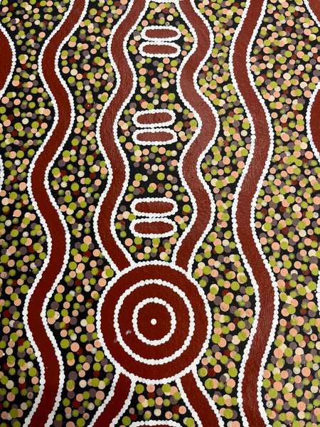 #349 Carpet Snake & Waterhole Dreaming - JONATHAN HOCKLEY Aboriginal Art: 75cm x 92cm