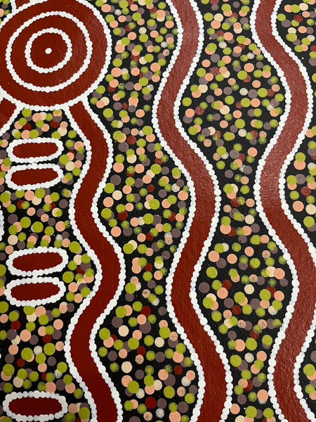 #349 Carpet Snake & Waterhole Dreaming - JONATHAN HOCKLEY Aboriginal Art: 75cm x 92cm