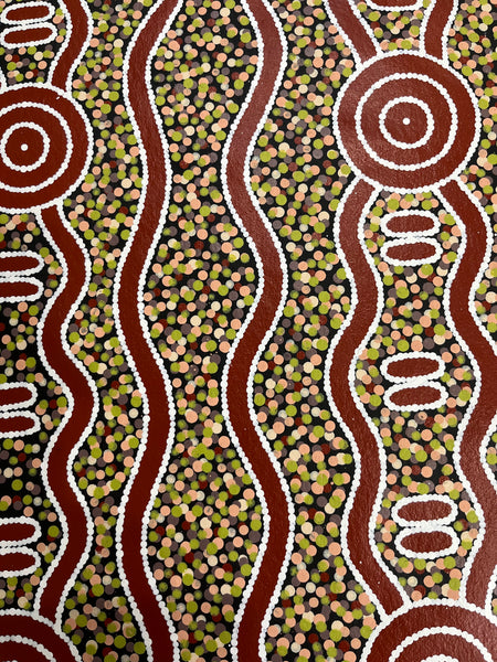 #349 Carpet Snake & Waterhole Dreaming - JONATHAN HOCKLEY Aboriginal Art: 75cm x 92cm